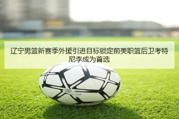 liao-ning-nan-lan-xin-sai-ji-wai-yuan-yin-jin-mu-biao-suo-ding-qian-mei-zhi-lan-hou-wei-kao-te-ni-li-cheng-wei-shou-xuan-2-565.jpg